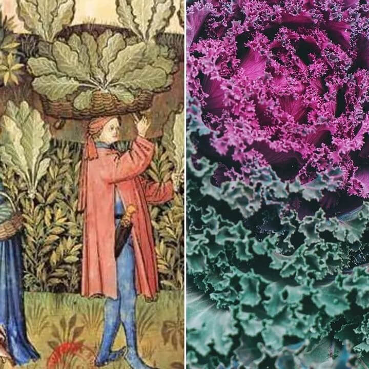 The Medieval Diet Was Actually Pretty Healthy