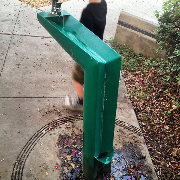 Drinking Fountain for Humans and Doggos