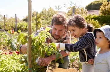 Want To Start A Community Garden? This Is How It's Done (Super Easy)