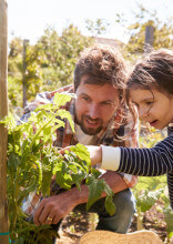 Want To Start A Community Garden? This Is How It's Done (Super Easy)