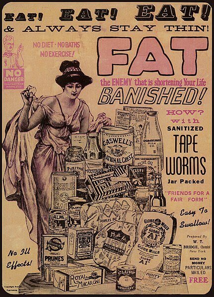 Tackling Weight Loss With Tapeworms