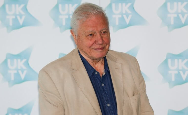 David Attenborough wird einen Nobelpreis gewinnen