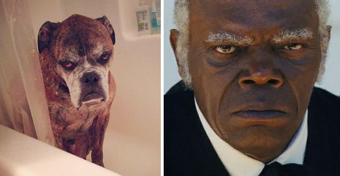 Samuel L. Jackson and His Twin
