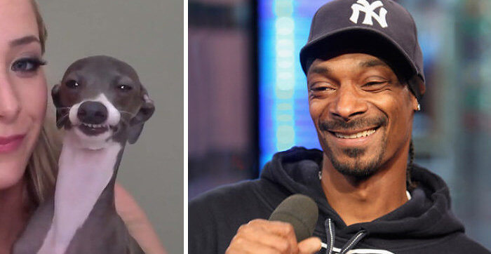 Is Snoop Dogg Actually a Dog?