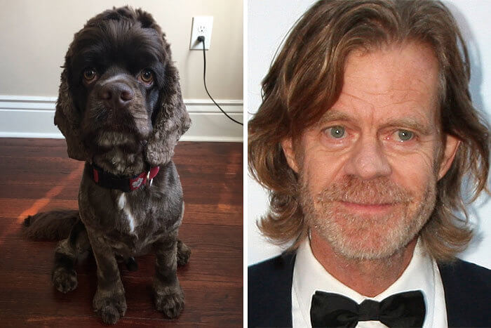 William H. Macy's Adorable Best Friend