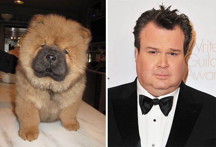 Eric Stonestreet and His Chow Chow
