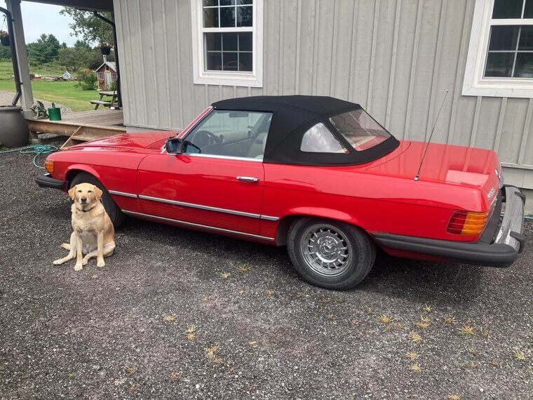 1976 Mercedes-Benz 450L