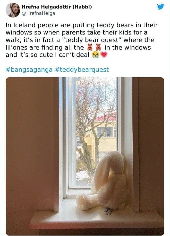 Iceland's Wholesome Teddy Bear Quest