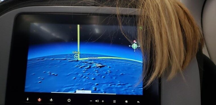 Someone Needs To Put Their Hair In A Bun