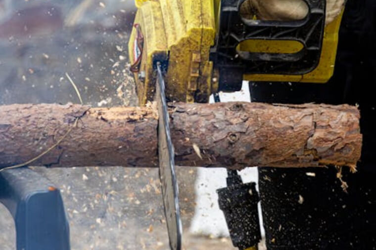 Making Firewood and Kindlings