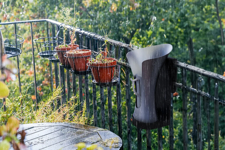 Rainwater Collection