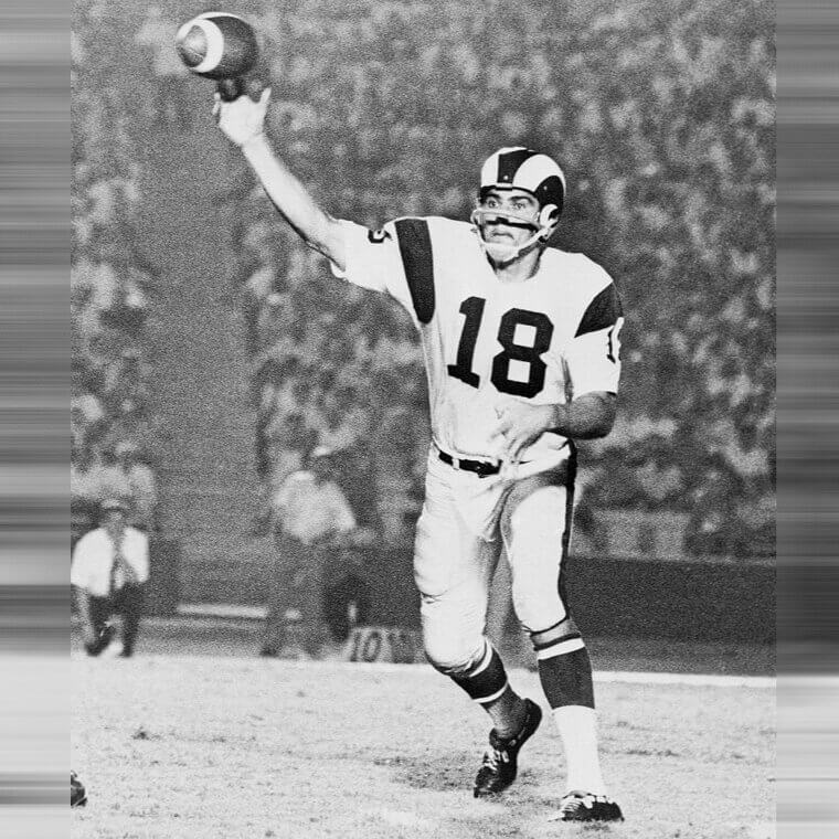 43.ローマン・ガブリエル