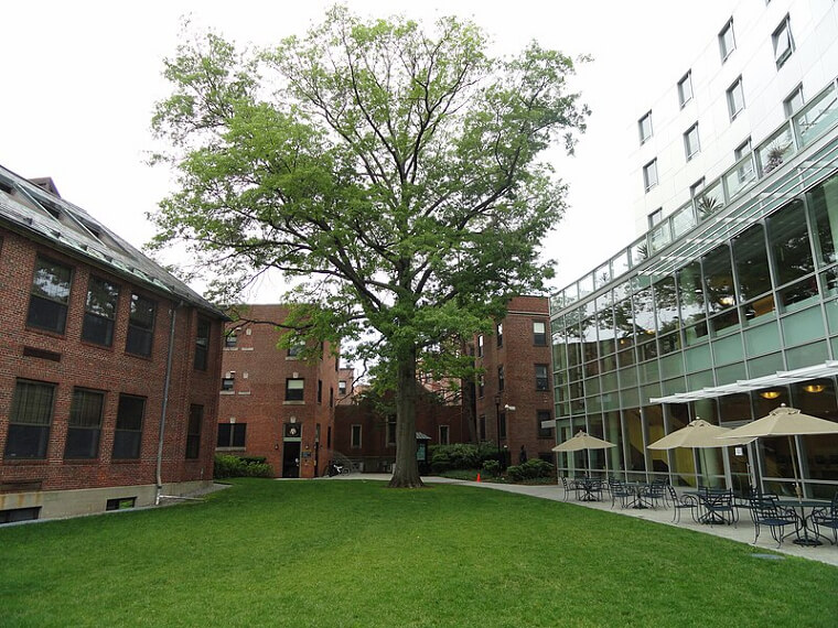 28. Wheelock College - Massachusetts