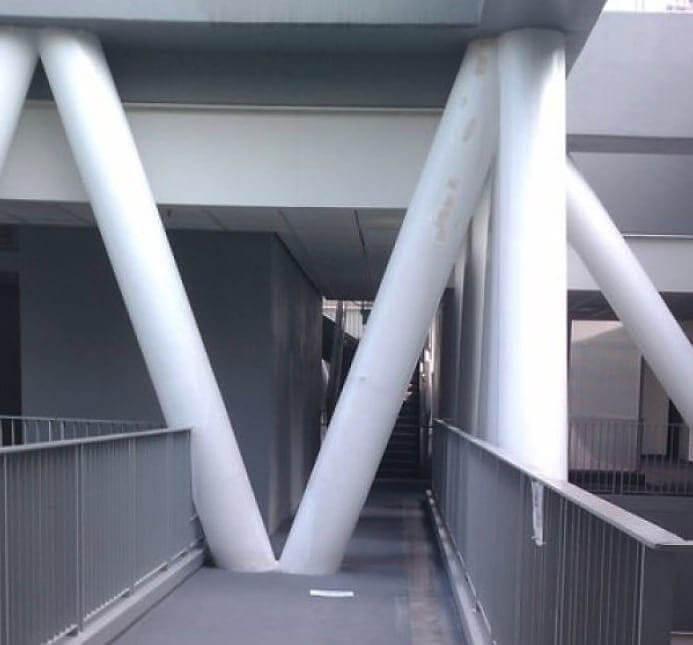 Right In The Pathway