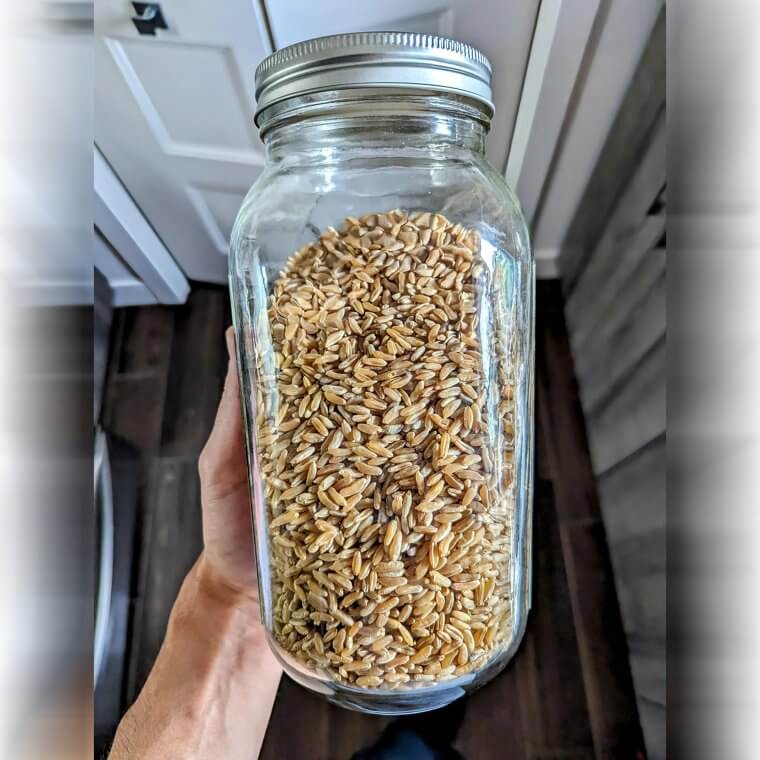 Whole Grains