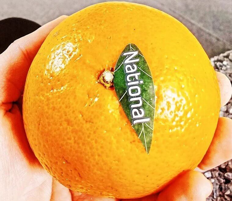 Oranges
