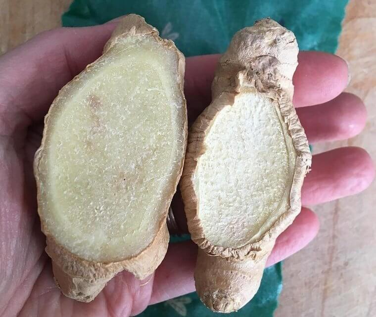 Ginger
