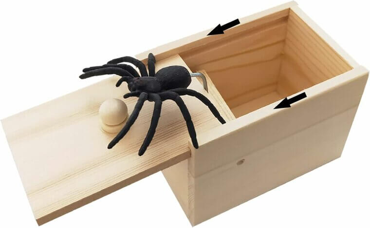 Spider Scare Box: Fun Prank Toy for Kids & Adults