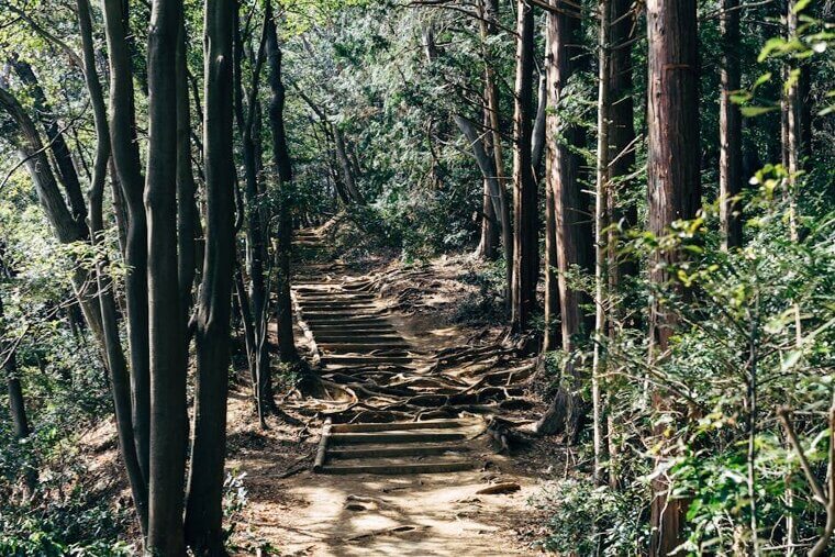 The Sacred Pilgrimage Route of Kumano Kodo