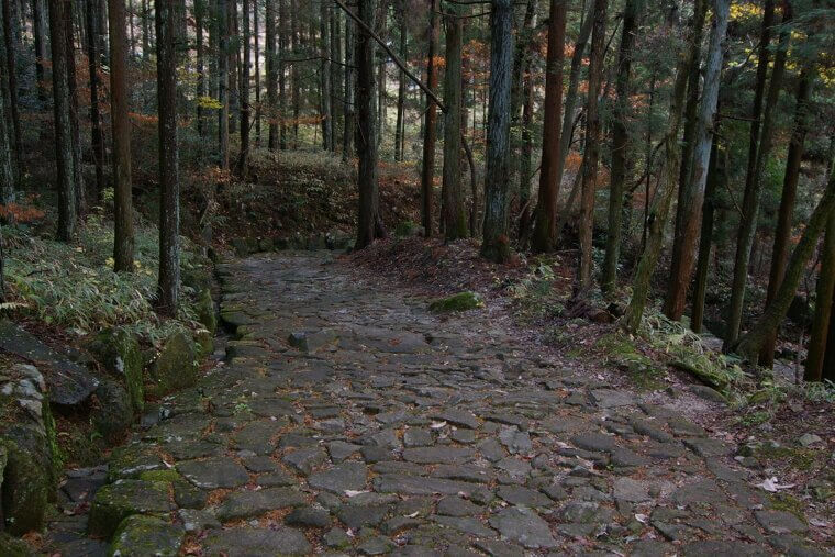 The Ancient Stone Path of the Nakasendo Trail