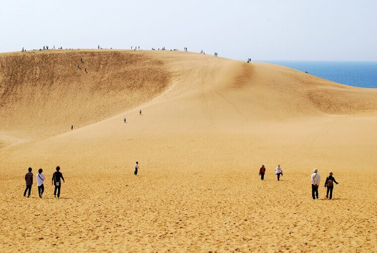 The Dramatic Sand Dunes Near Tottori
