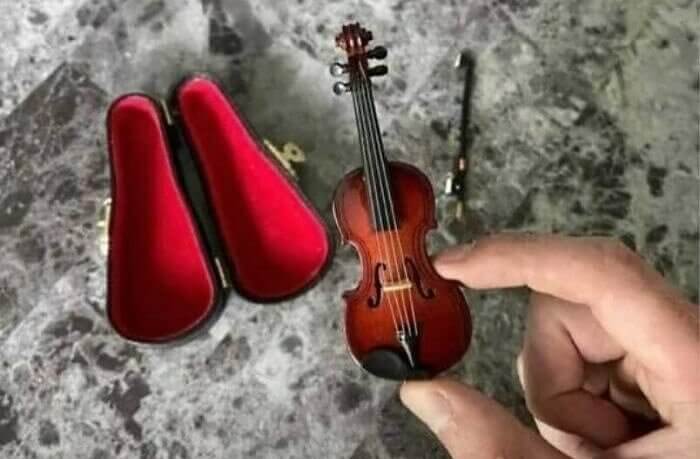 The World's Tiniest Violin