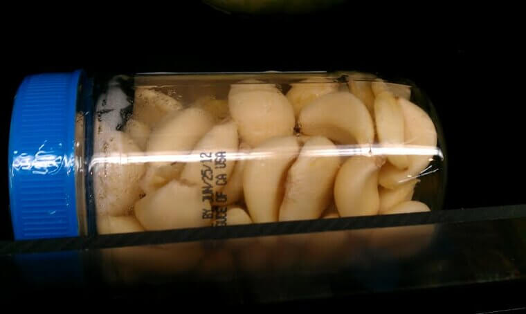 Garlic in Jars