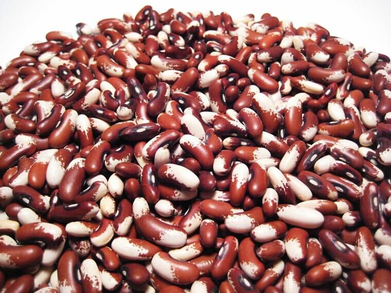 Dry Beans