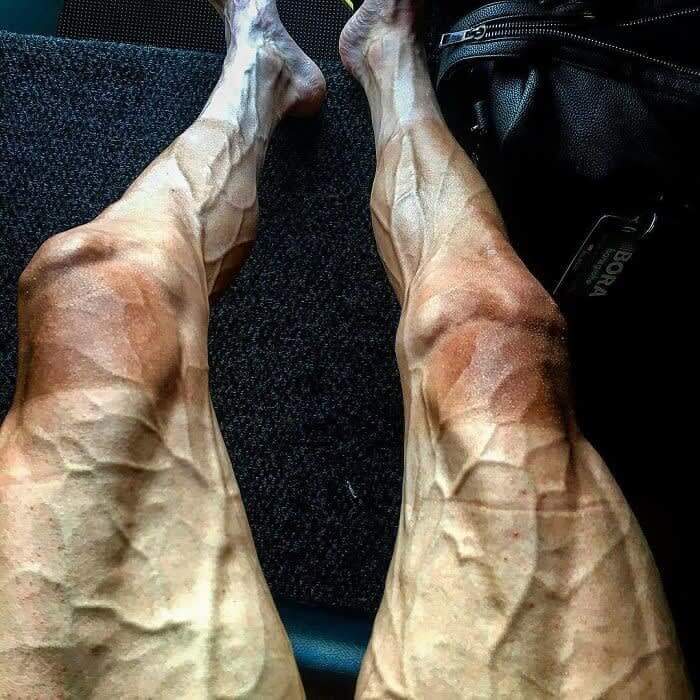Legs of a Cyclist