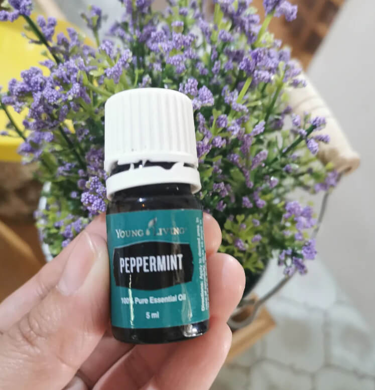 Get Plumper Lips By Adding Some Peppermint To Your Lip Gloss