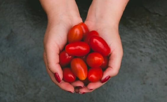 Delicious, Guilt-Free Snacks Straight From Model Meal Plans