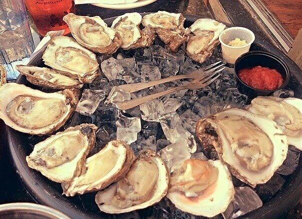 Oysters