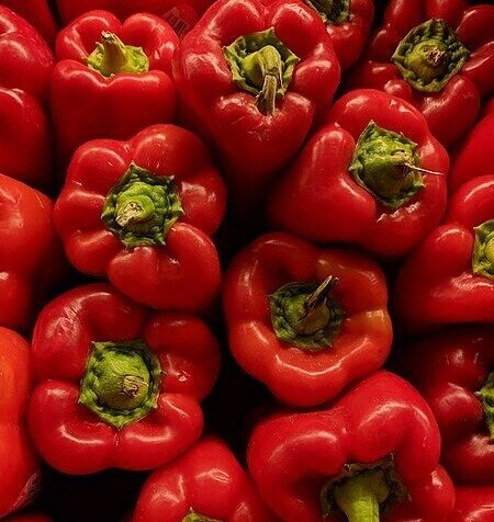 Red Bell Peppers