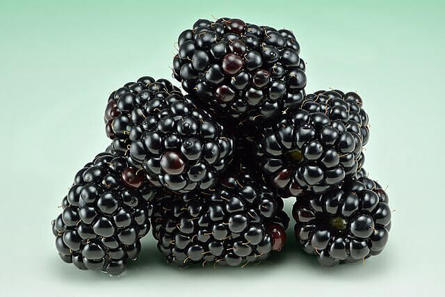 Blackberries