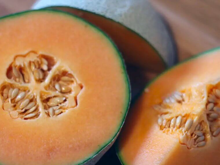 Cantaloupe