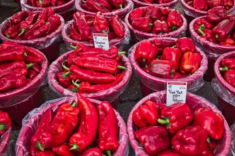 Red Bell Peppers