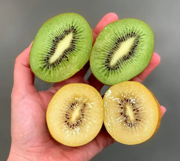 Kiwi