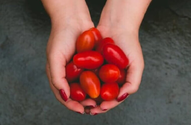 Delicious, Guilt-Free Snacks Straight From Model Meal Plans