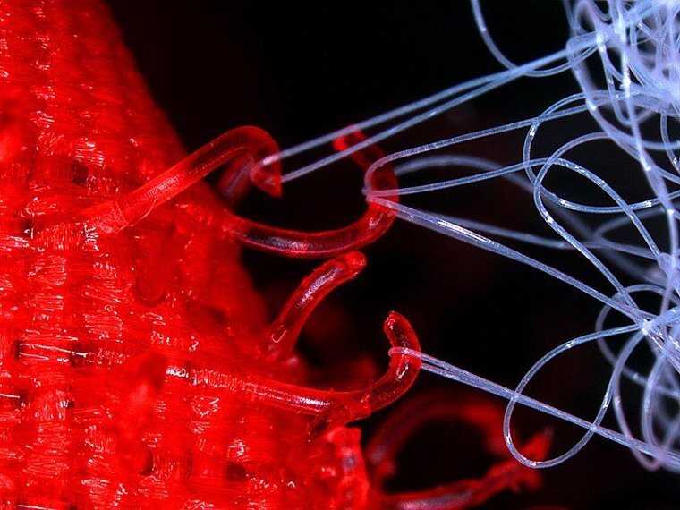 L'inventeur du Velcro a eu cette idée alors qu'il retirait les bavures de la fourrure de son chien.