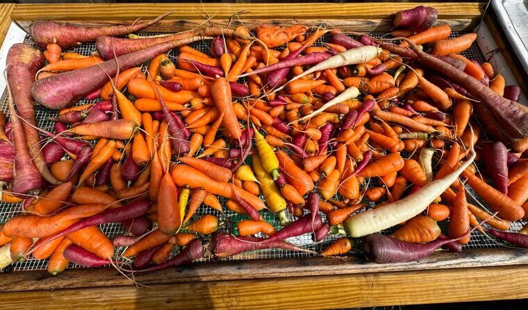 ​Use Veggie Scraps for Homemade Stock