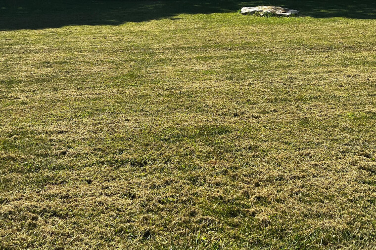 Removing Grass Clippings