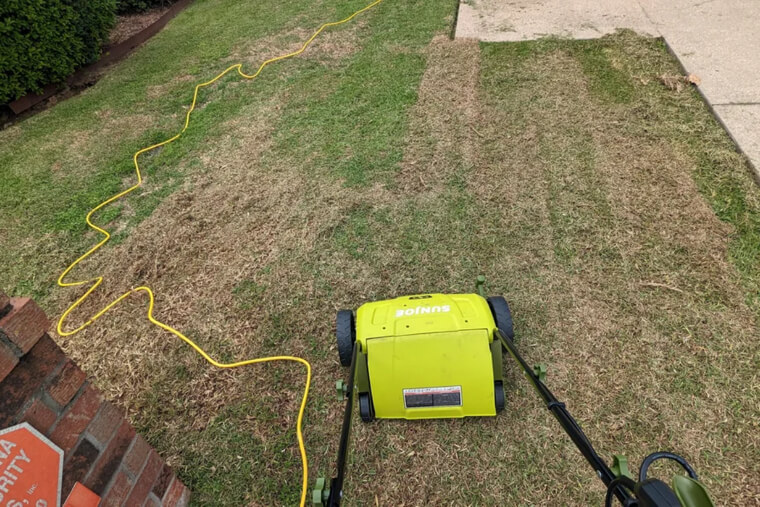 Ignoring Dethatching