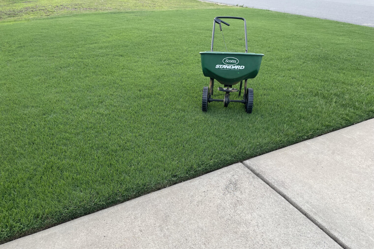 Over-Fertilising Shady Areas