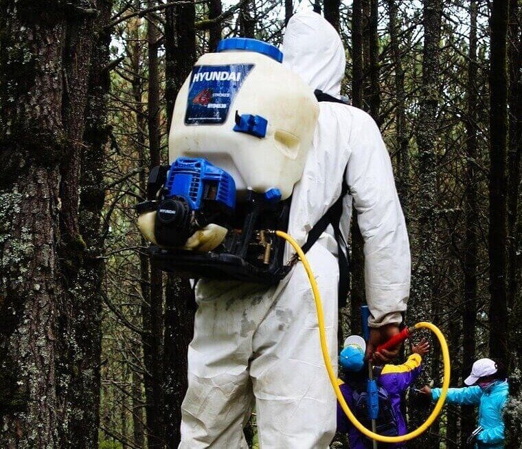 Not Using Broadleaf Herbicides Properly