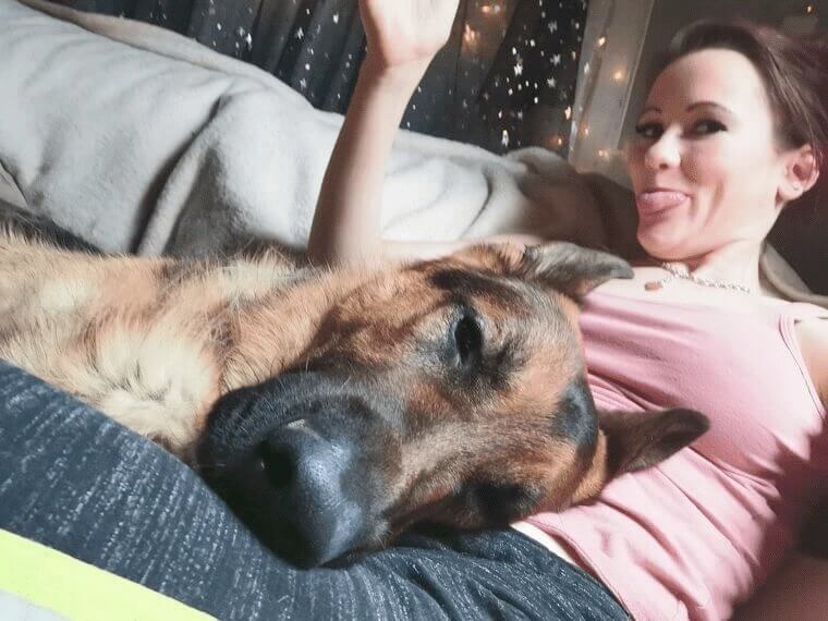 Les chiens sont comme une famille, ils sont là pour longtemps.