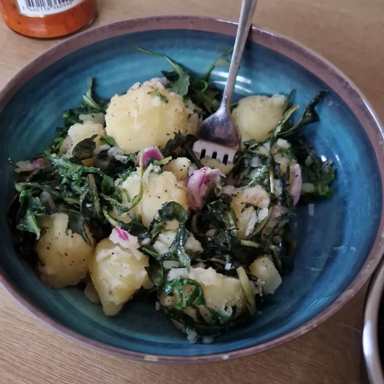 Dandelion Salad From the Garden