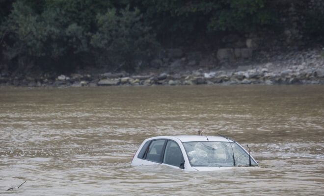 People Who Kept Their Cool In Bizarre Situations Like No One Else Was Watching