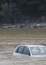 40+ Menschen, die in bizarren Situationen einen kühlen Kopf bewahrt haben, als hätte niemand zugesehen