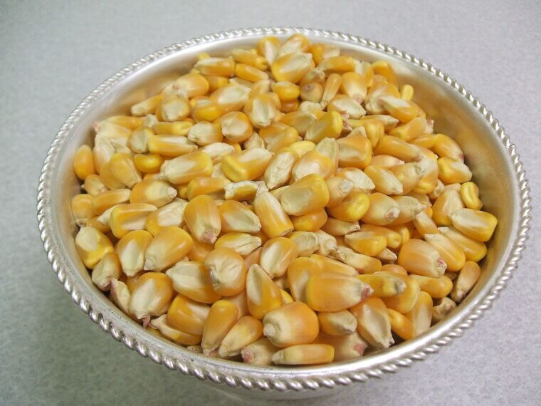 Corn Kernel Stripper