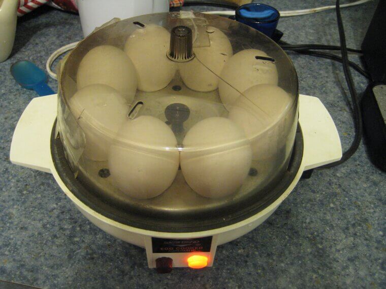 Electric Egg Cooker